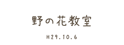 野の花教室